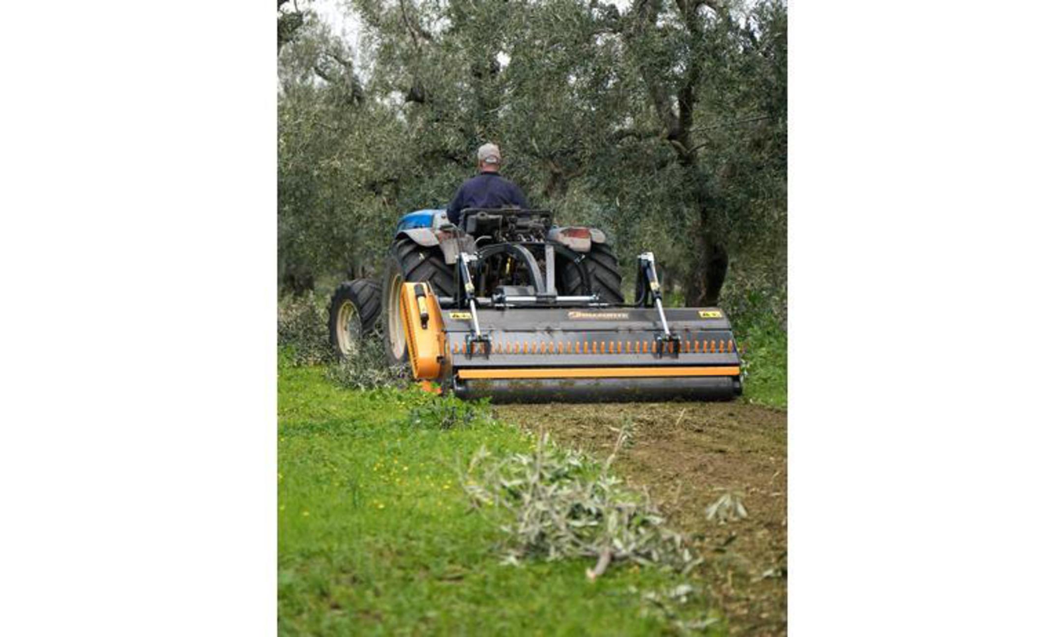 Orizzonti Semi-Forestry BEST mulcher image 2